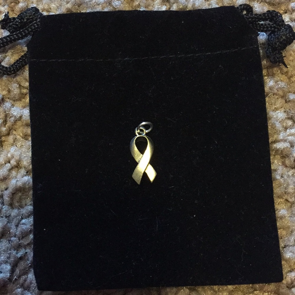 Breast  cancer charm from jewel kade